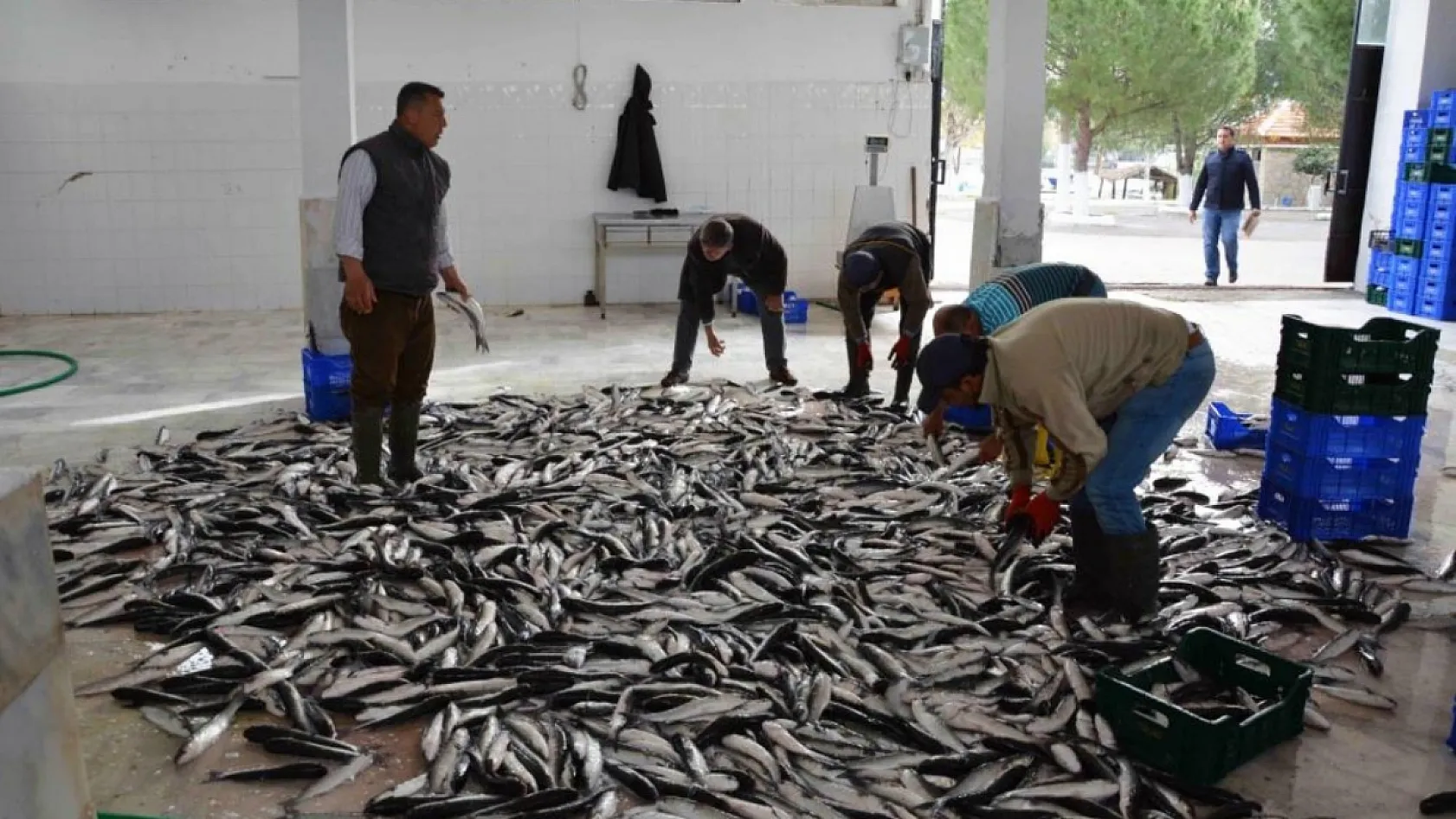 Muğla'nın Mayıs ayı ihracatı 107 milyon dolar
