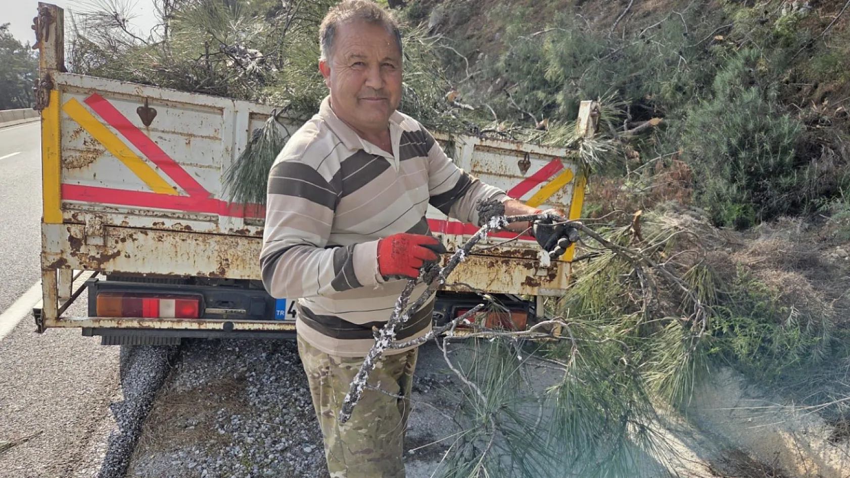 Muğla Sakar Yolu'ndan Toplanan Basralı Dallar Arıcılar İçin Marmaris'e Taşındı