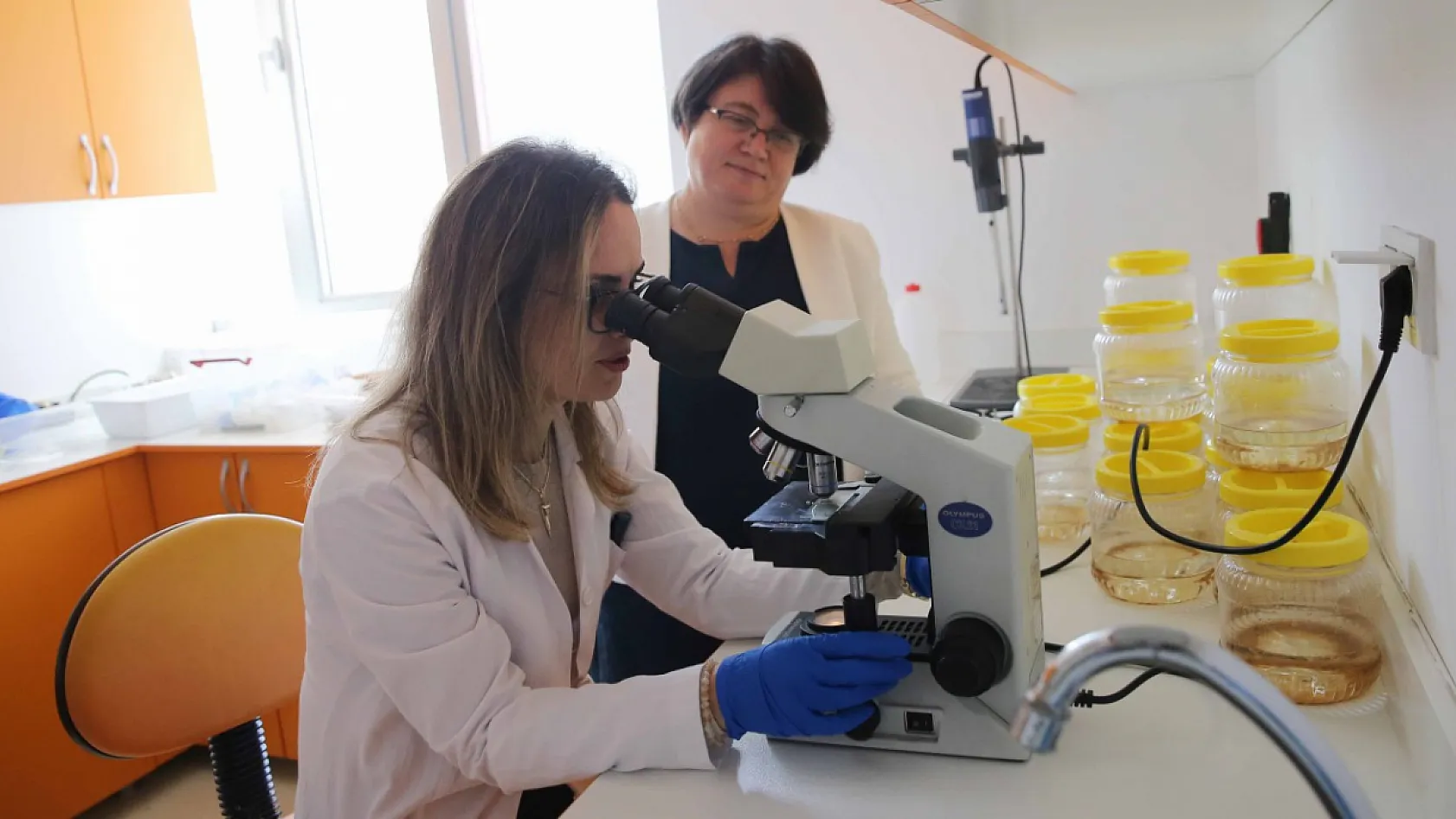 Muğla Sıtkı Koçman Üniversitesi'nden Kanser Araştırmasında Çığır Açan Denizanası ve Anemon Çalışması