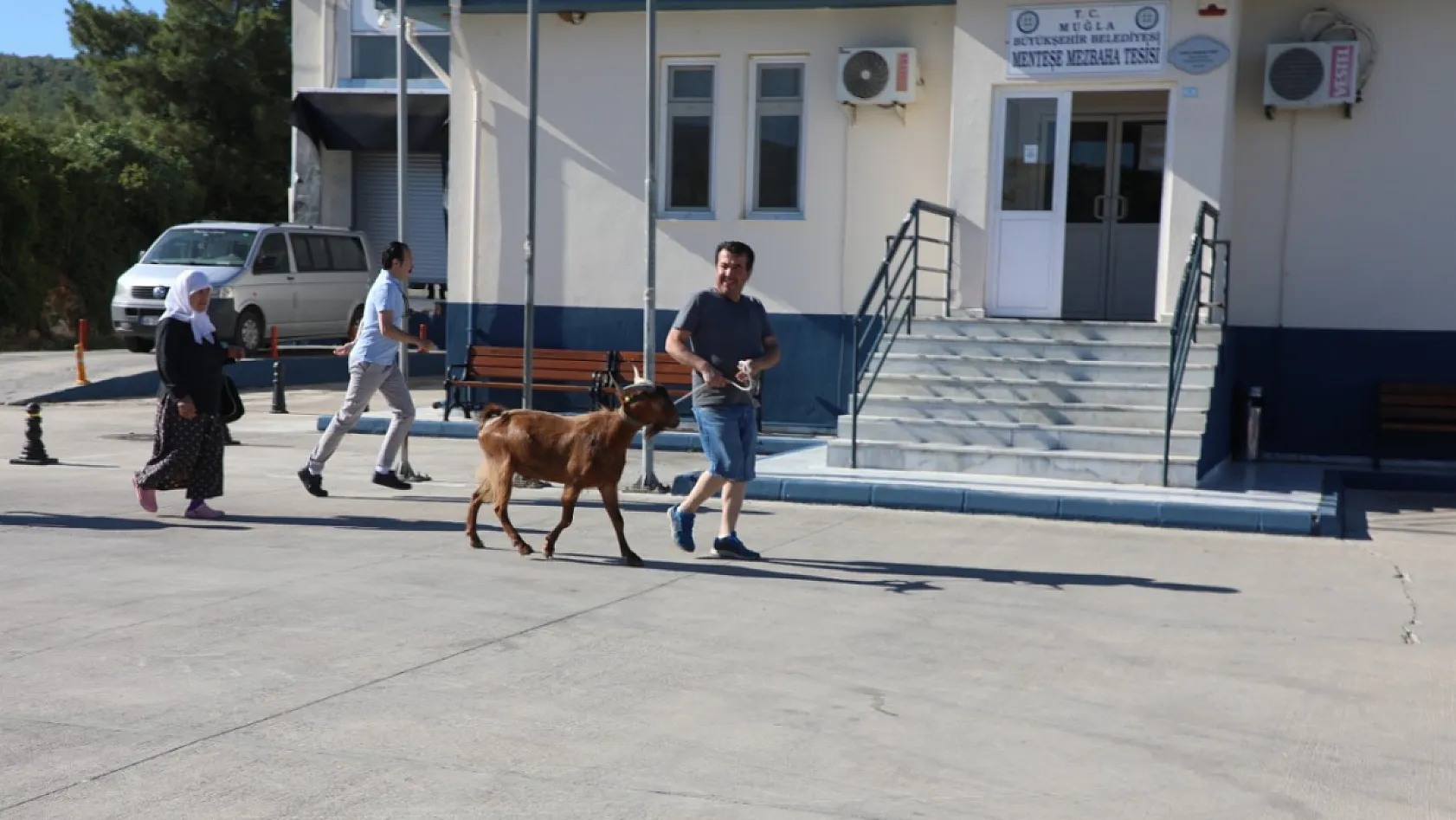 Muğla'da Kurban Kesim Hizmetleri Başlıyor: Büyükbaş ve Küçükbaş Ücretleri Belirlendi