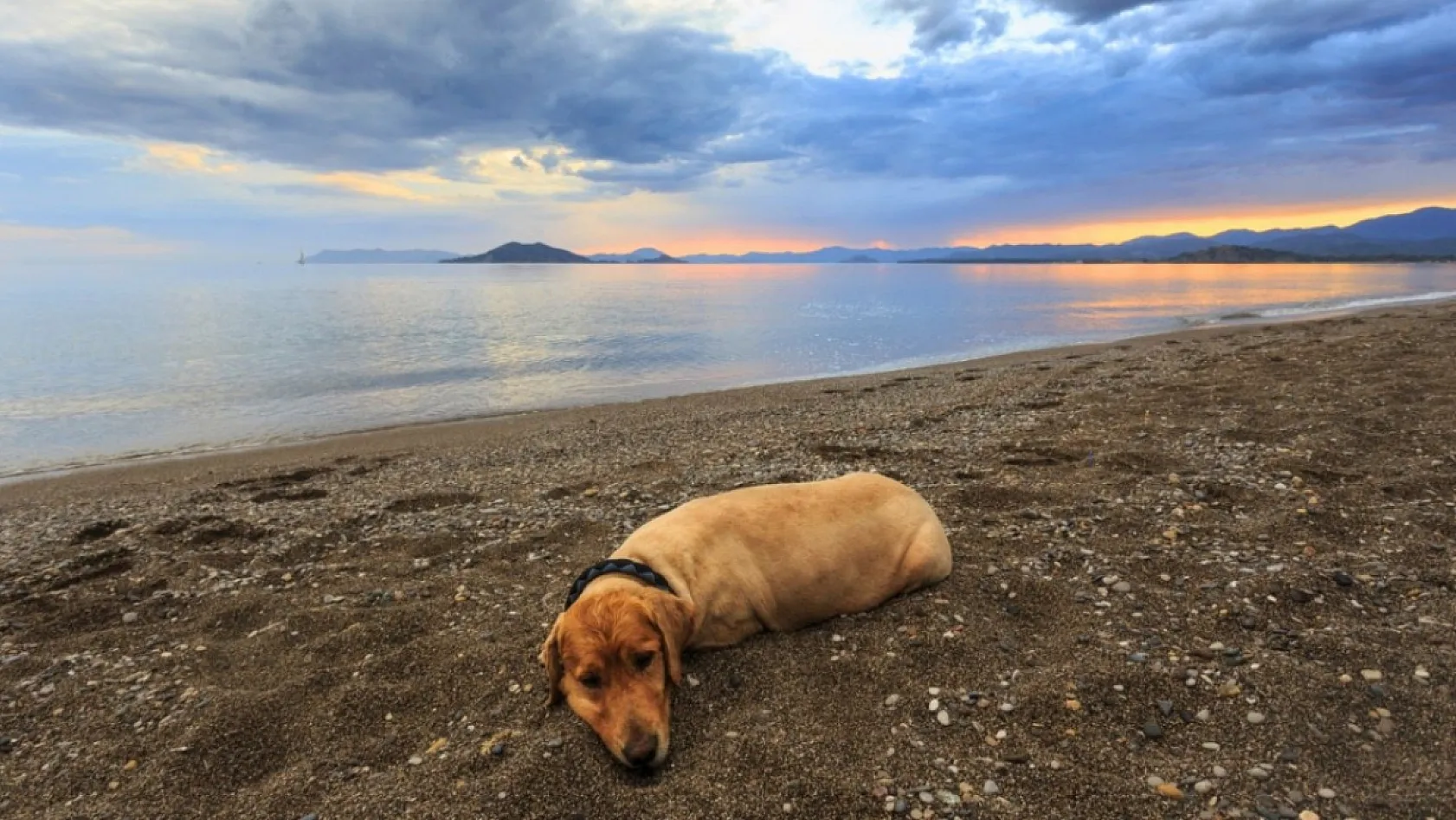 Muğla'da kuvvetli sağanak alarmı: 13 İlçede gök gürültülü yağış etkili olacak