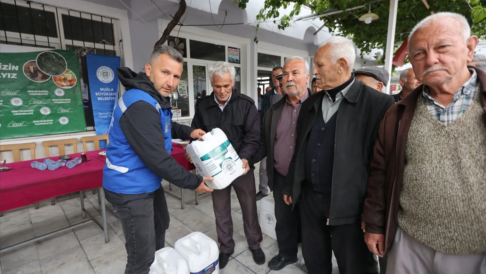 Muğla'da Çam Fıstığı Üreticisine Büyük Destek: Doğal Mücadele Başladı