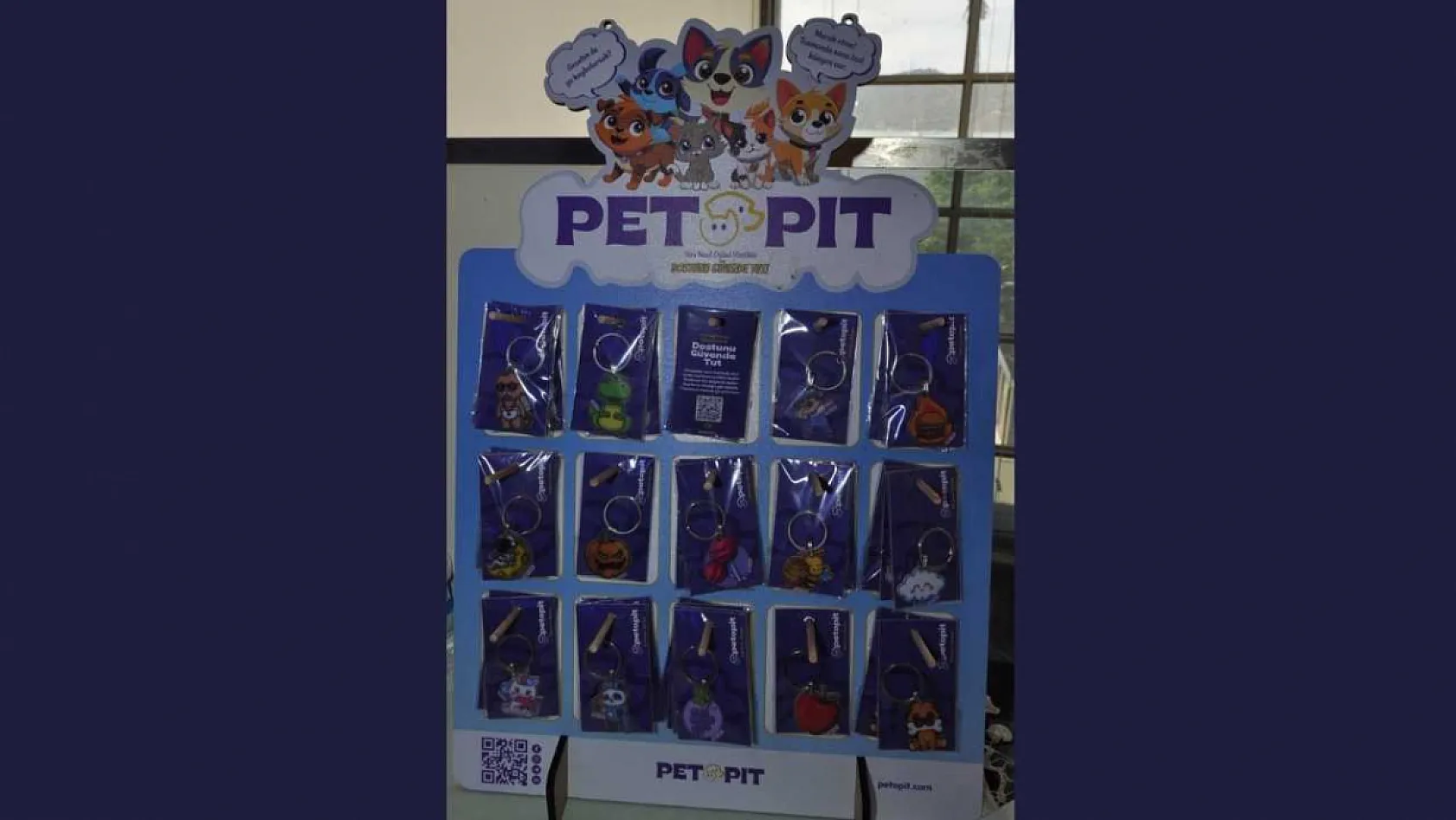 Fethiye'de sokak hayvanları için anlamlı proje: Pati Life