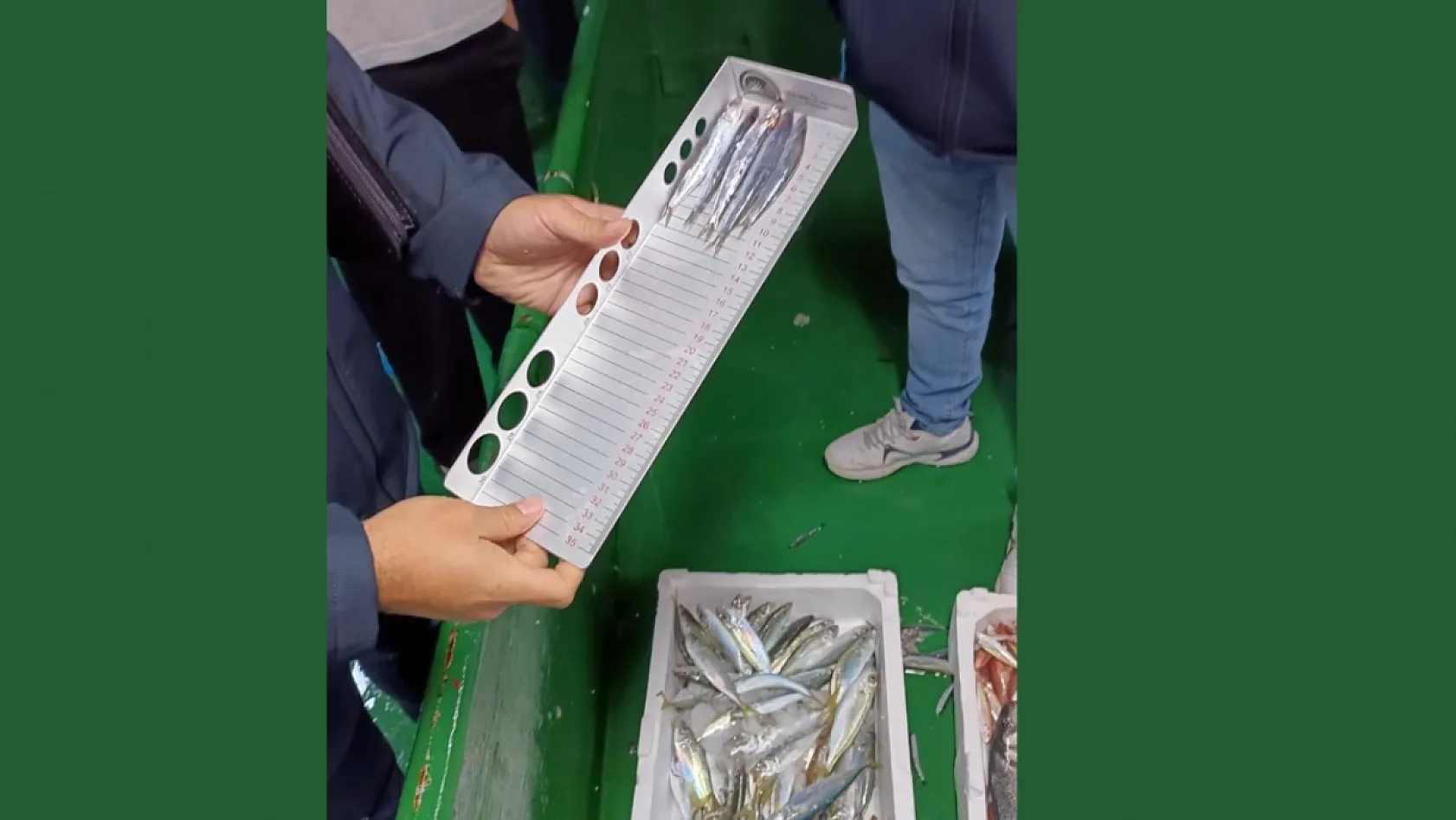 Reis 48 Kontrol Gemisi hamsi denetiminde