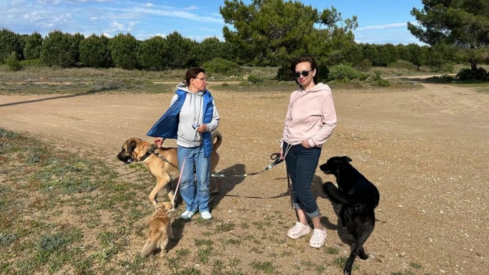 Antalya'da Rus sahipleri, kaybolan köpeklerini sokak sokak arıyor: Canlı bulana 100 bin, ölü bulana 10 bin ödül
