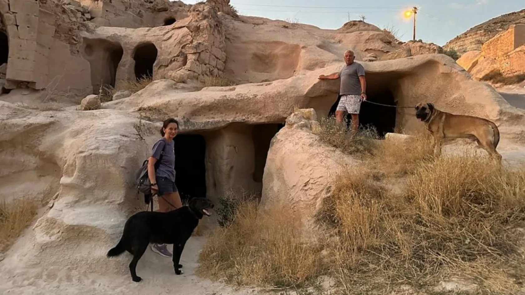 Antalya'da Rus sahipleri, kaybolan köpeklerini sokak sokak arıyor: Canlı bulana 100 bin, ölü bulana 10 bin ödül