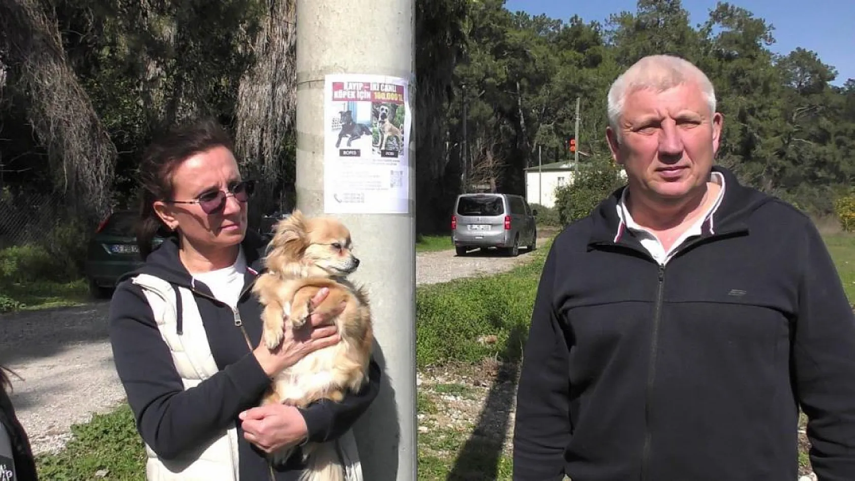 Antalya'da Rus sahipleri, kaybolan köpeklerini sokak sokak arıyor: Canlı bulana 100 bin, ölü bulana 10 bin ödül