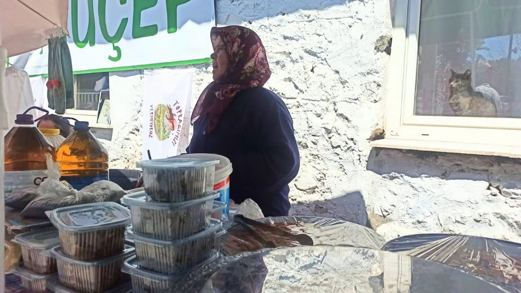 Sahrap Soysal 15. kez Fethiye Yeşilüzümlü Kuzugöbeği Festivali'nde