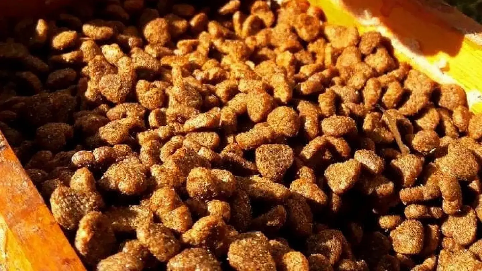 Fethiye'de Petshop İşletmecisinden Uyarı