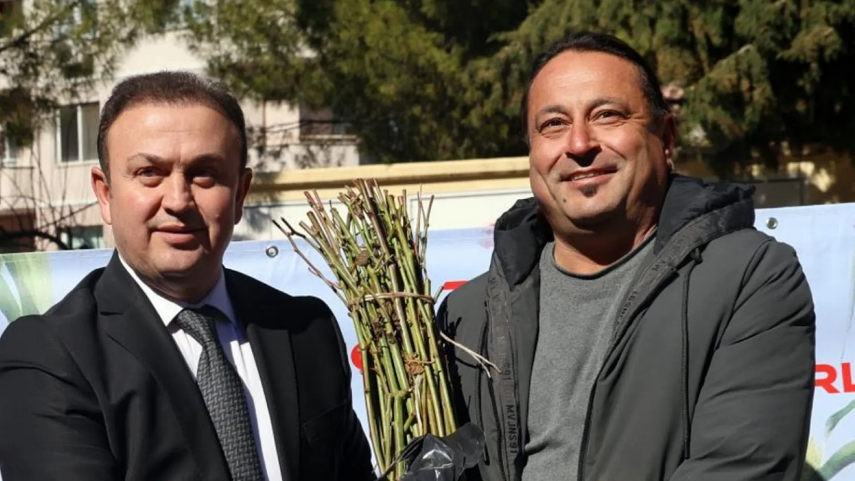 Muğla'da 50 bin adet üzümsü fidan dağıtıldı