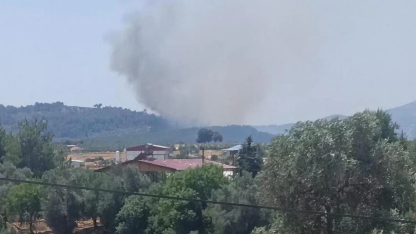 Seydikemer'de orman yangını