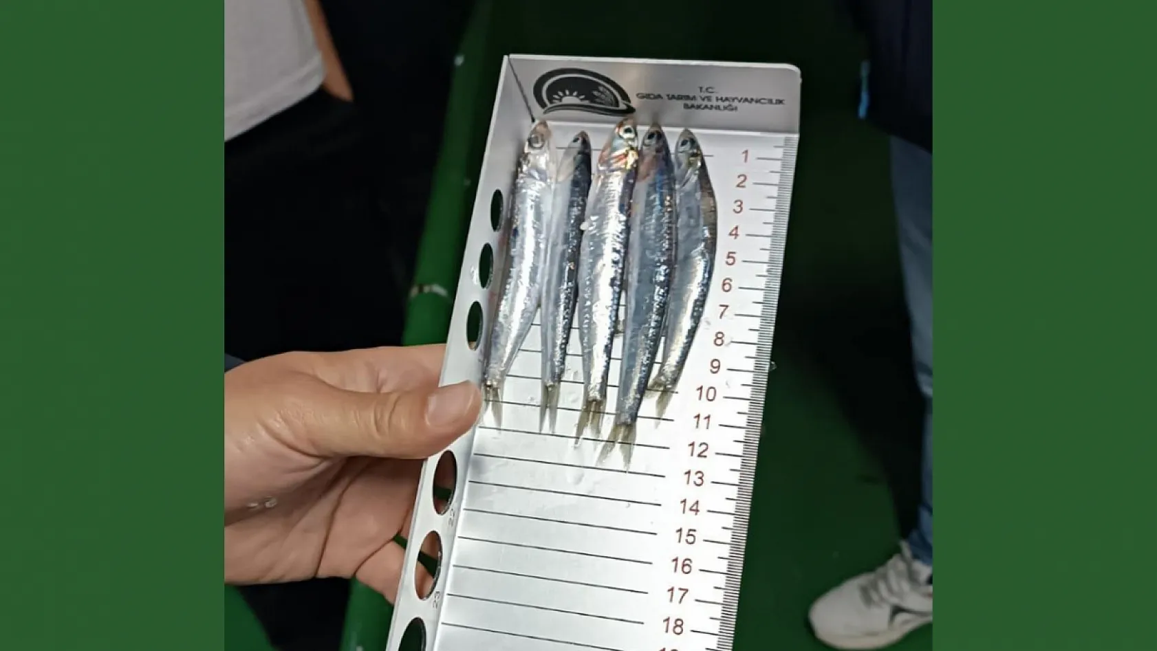 Reis 48 Kontrol Gemisi hamsi denetiminde