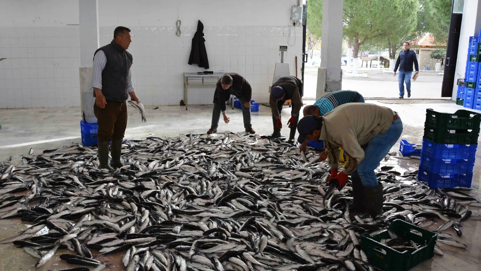 Şubat ayında Muğla ihracatta İstikrarını korudu, Ege Bölgesi geriledi