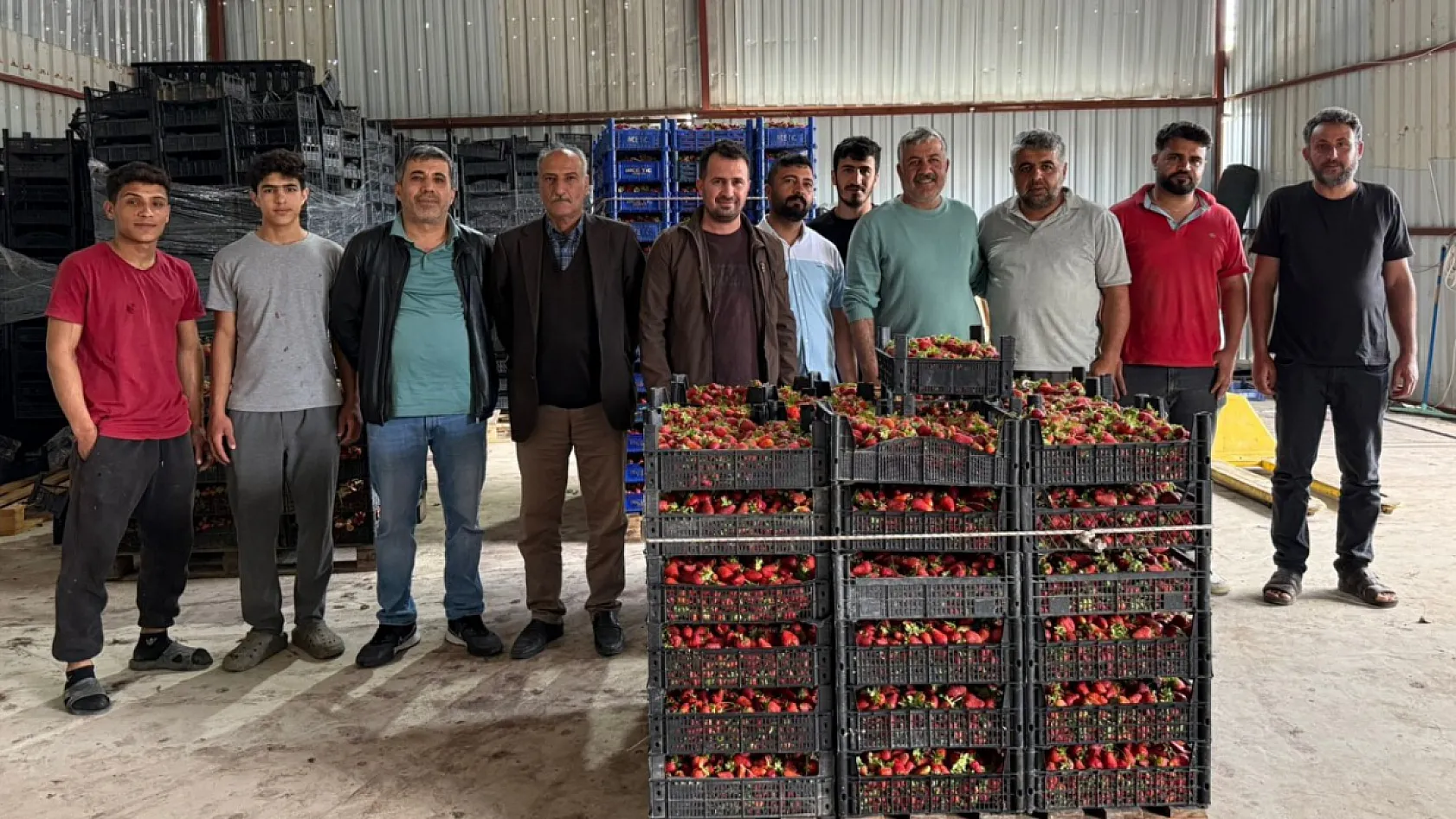 Tarla ile market rafları arasındaki farka üretici bile inanamıyor