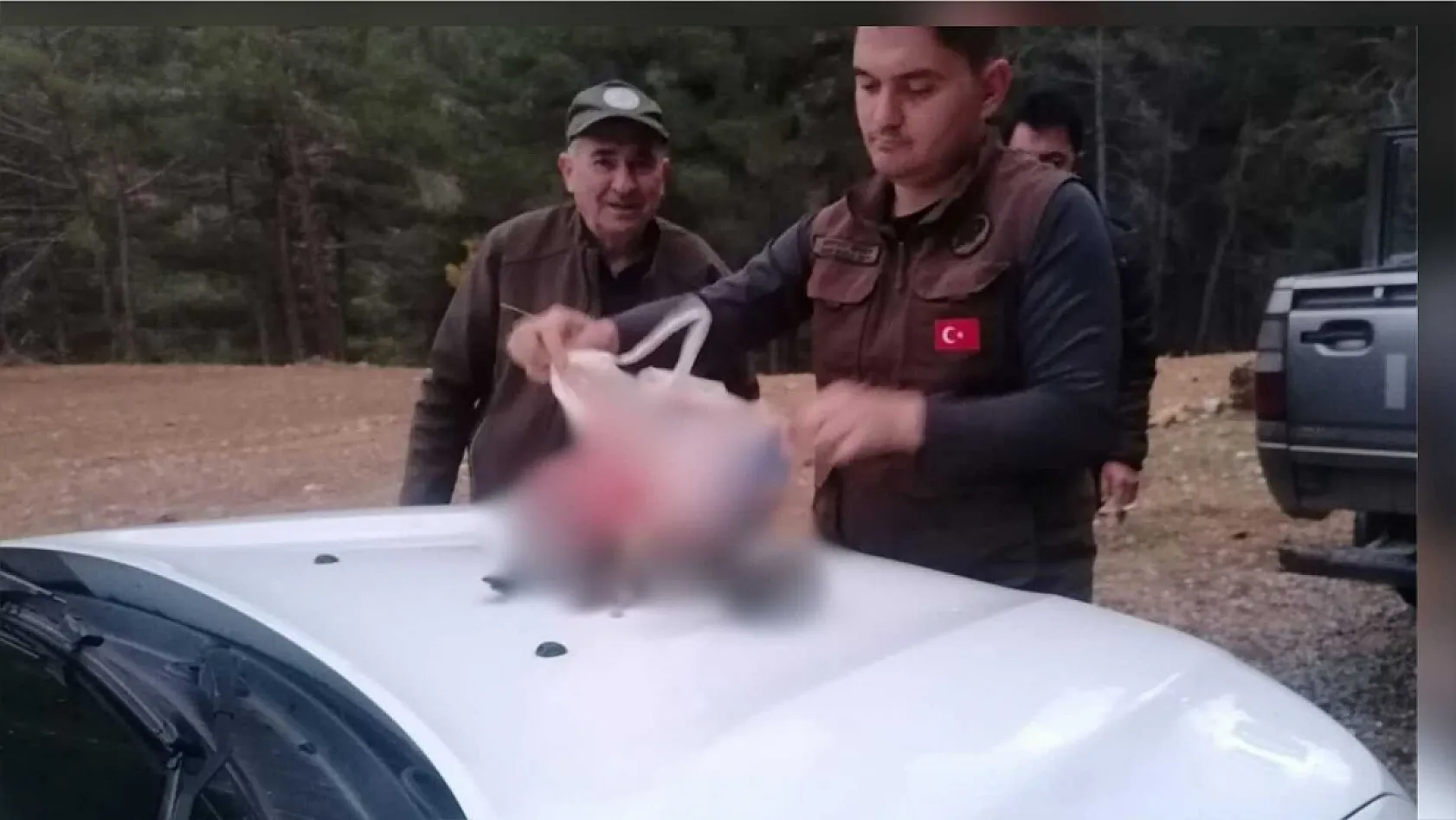 Muğla'da Yasa Dışı Avcılık Denetimleri Devam Ediyor