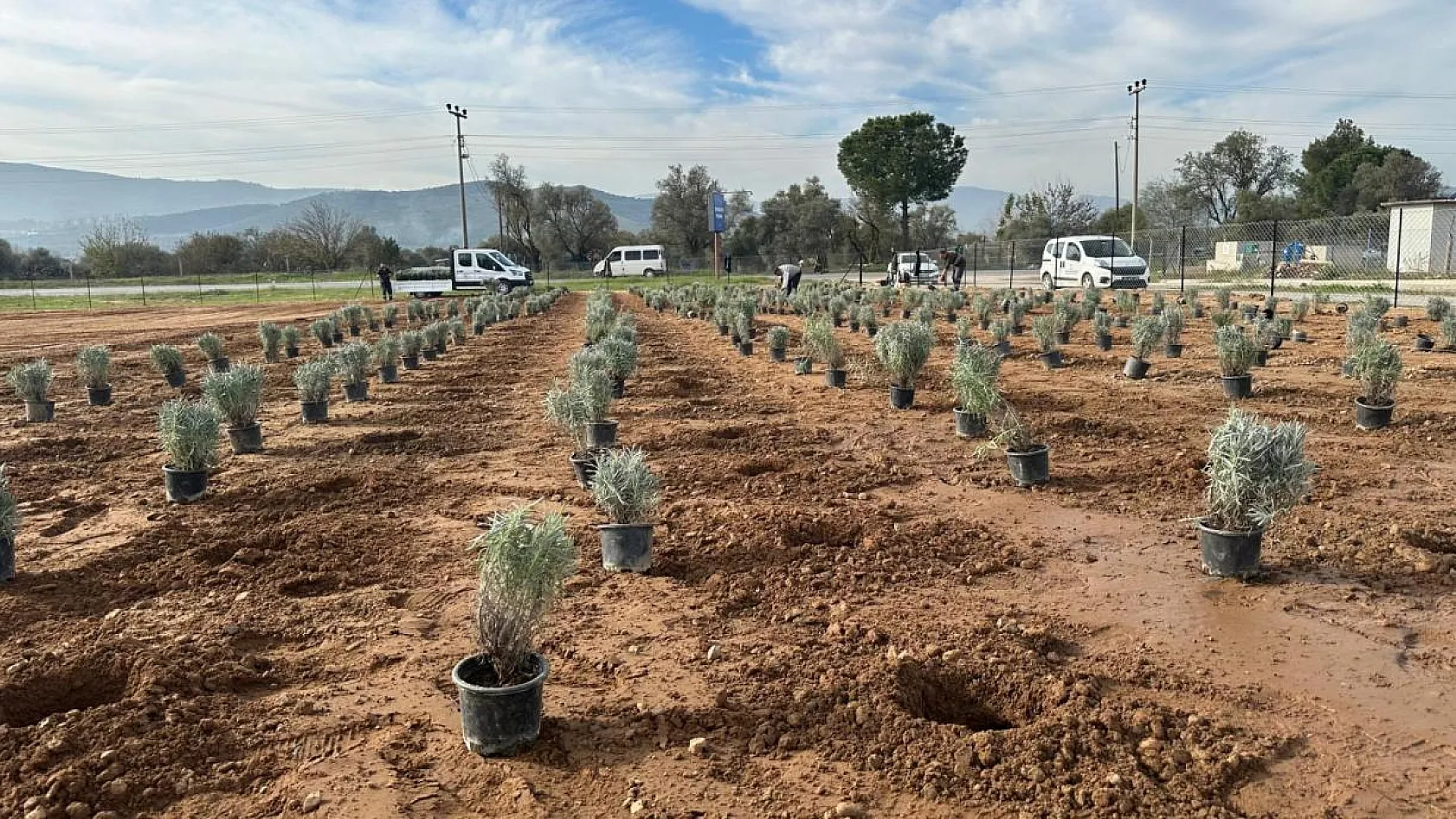 Doğa ile iç içe, mis kokulu bir atmosfer