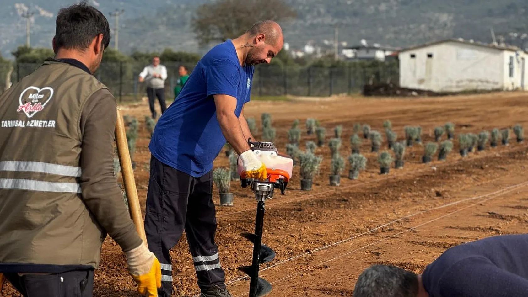 Doğa ile iç içe, mis kokulu bir atmosfer
