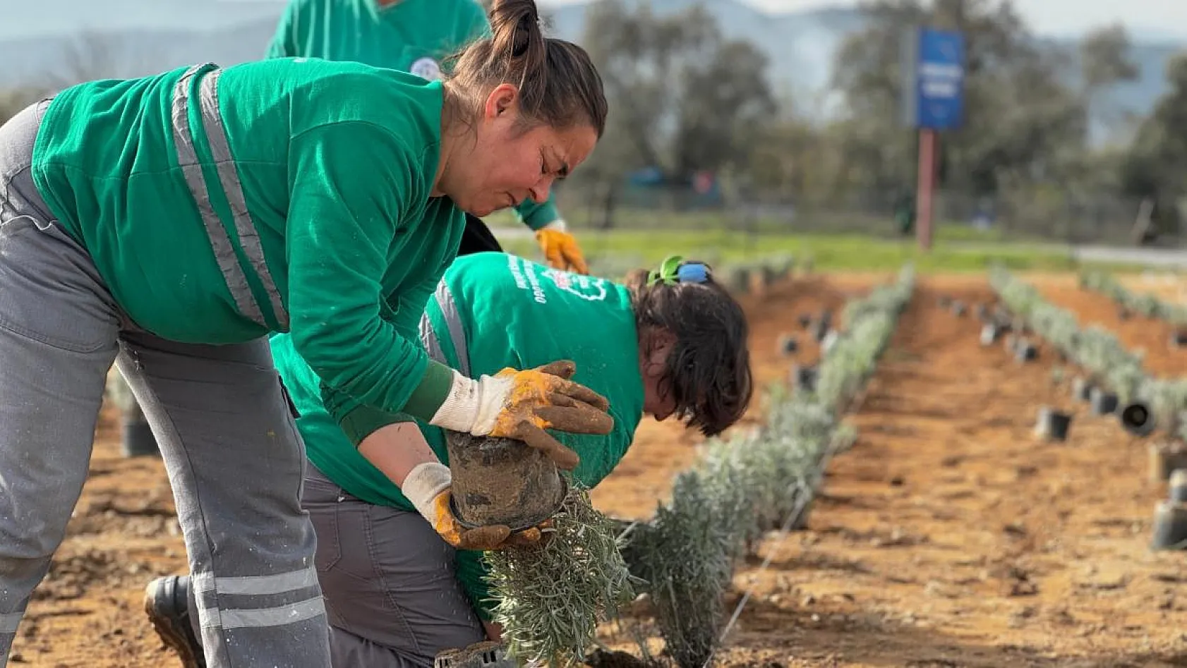 Doğa ile iç içe, mis kokulu bir atmosfer