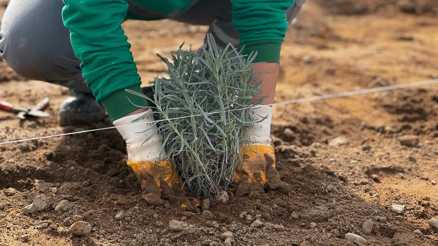 Doğa ile iç içe, mis kokulu bir atmosfer