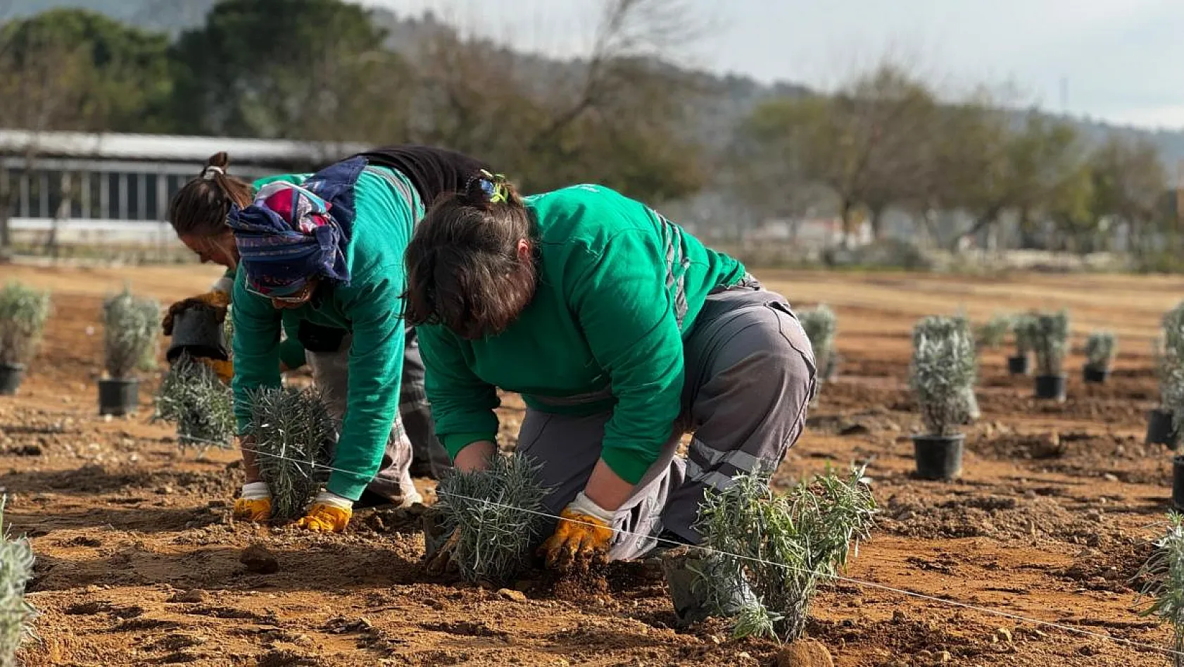 Doğa ile iç içe, mis kokulu bir atmosfer