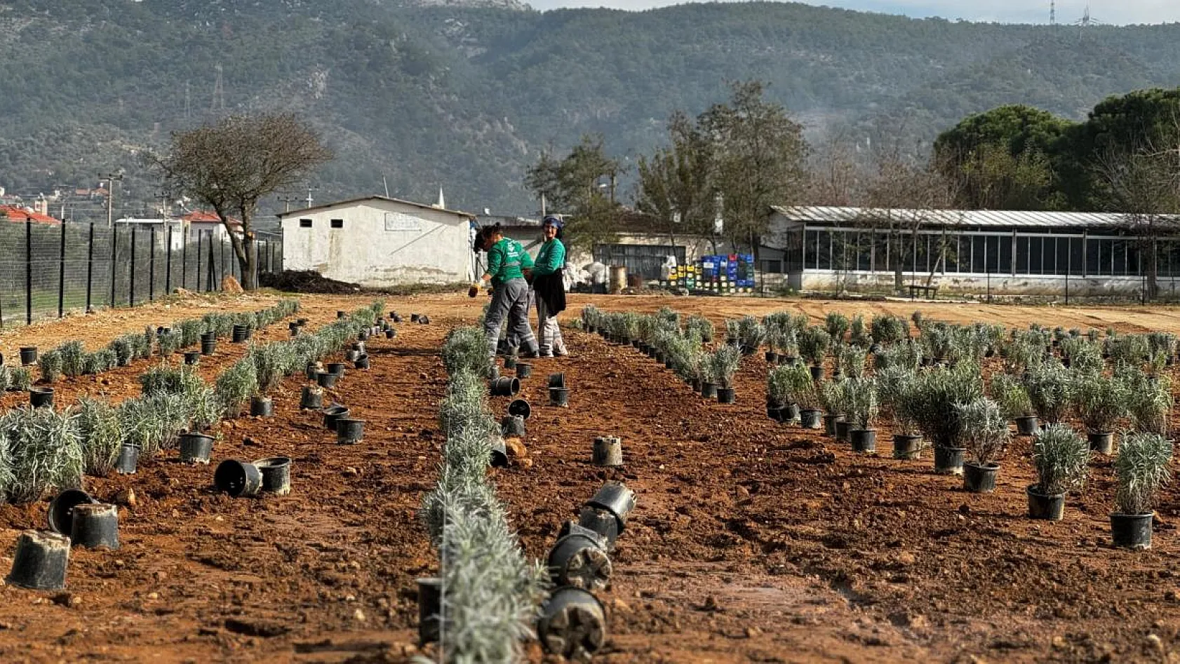 Doğa ile iç içe, mis kokulu bir atmosfer