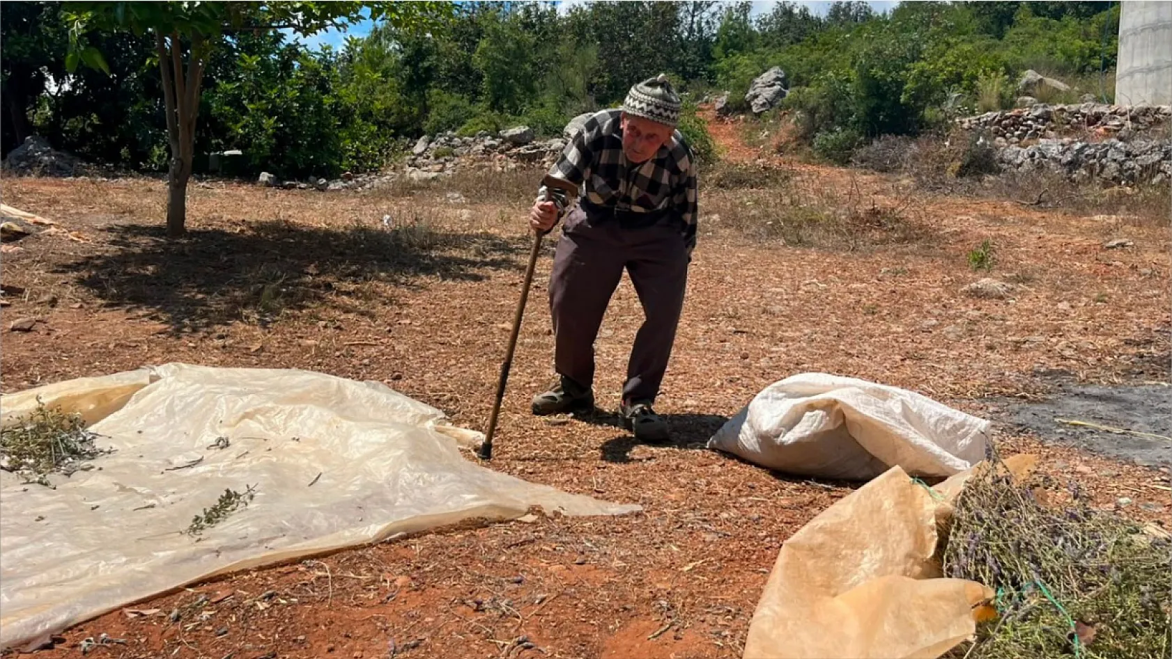 Üç evladını toprağa verdi, asırlık ömrünü doğayla iç içe sürdürdü