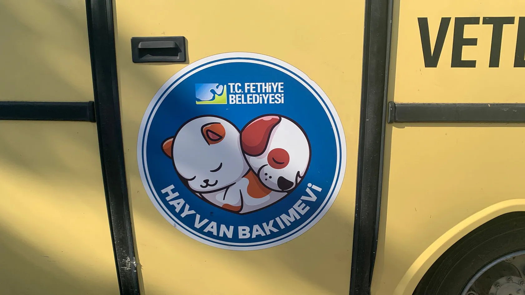 Üç yıldır yollarda: Fethiye'de VetBus hizmetiyle sokak hayvanlarına yerinde müdahale