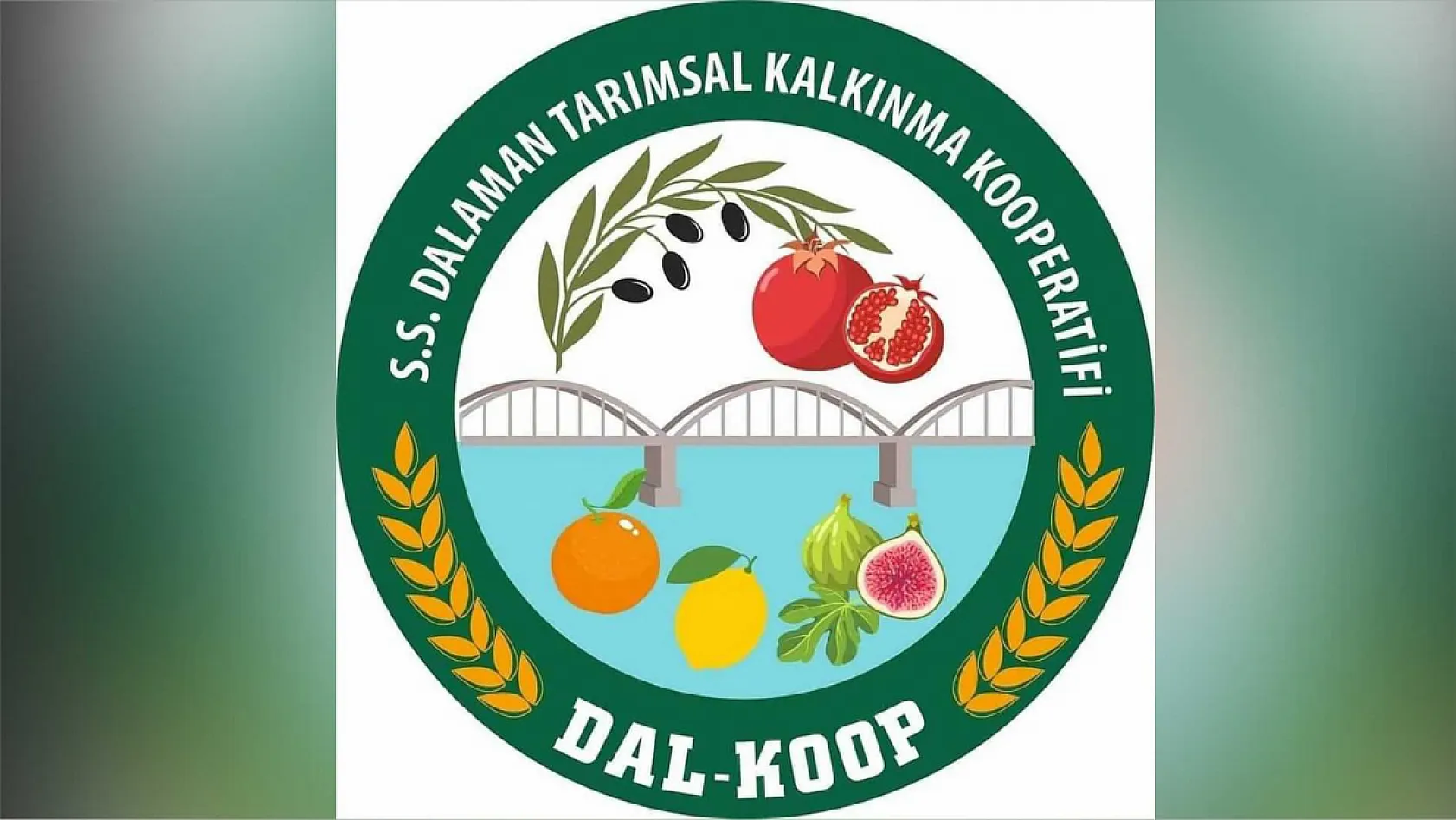 Dalaman Belediye Başkanı Sezer Durmuş'un başkanı olduğu kooperatifin zeytinyağları sahte çıktı