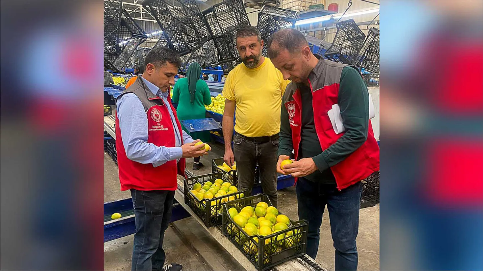 Ortaca'da üretilen ürünler tüm dünyaya ihraç oluyor