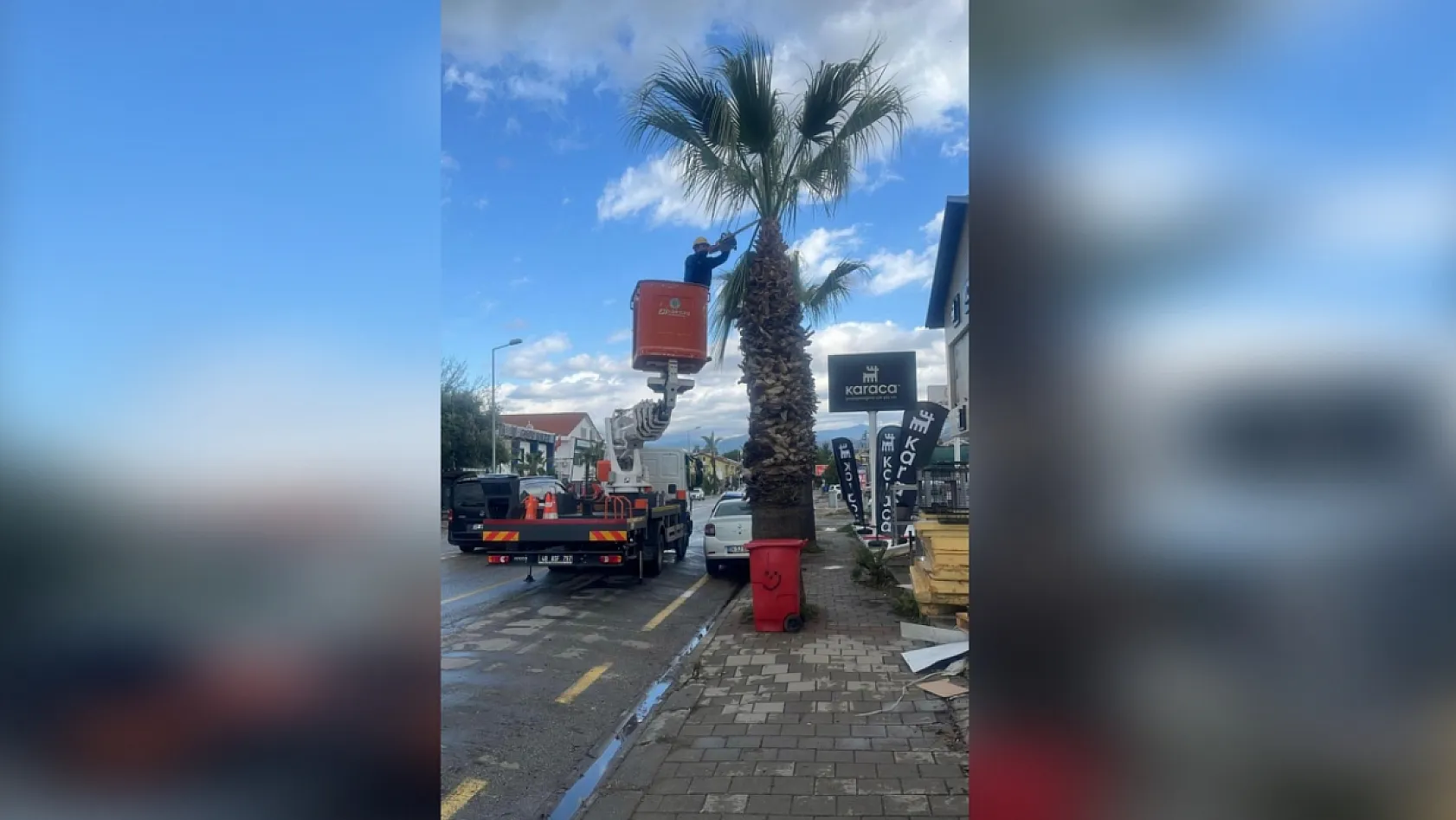 Muğla'da Ağaçlara Gençlik Aşısı: Hem Doğa Hem Güvenlik İçin Budama