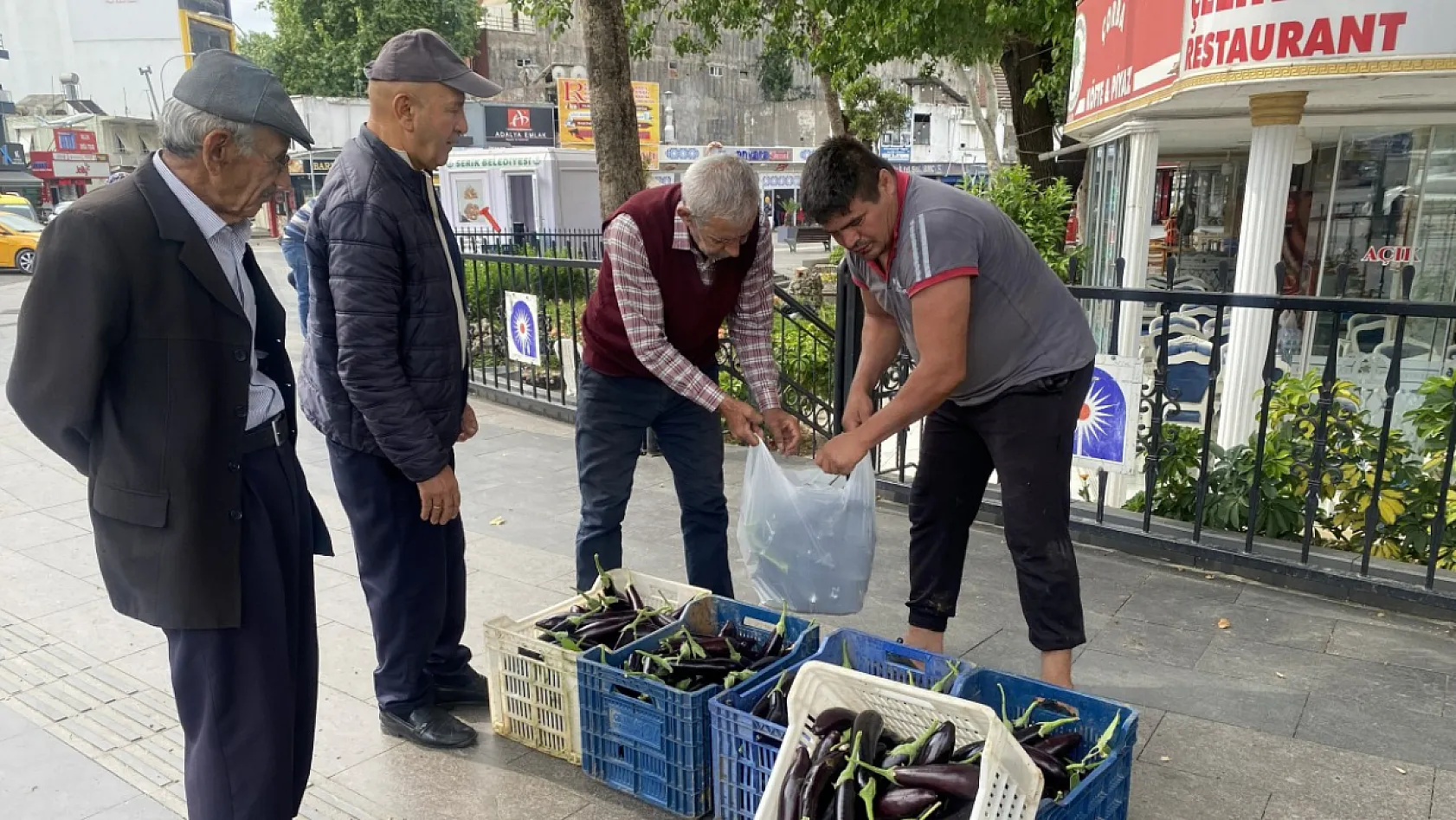 Ürettiği patlıcanlar maliyetini kurtarmayınca serasının kapılarını vatandaşlara açtı