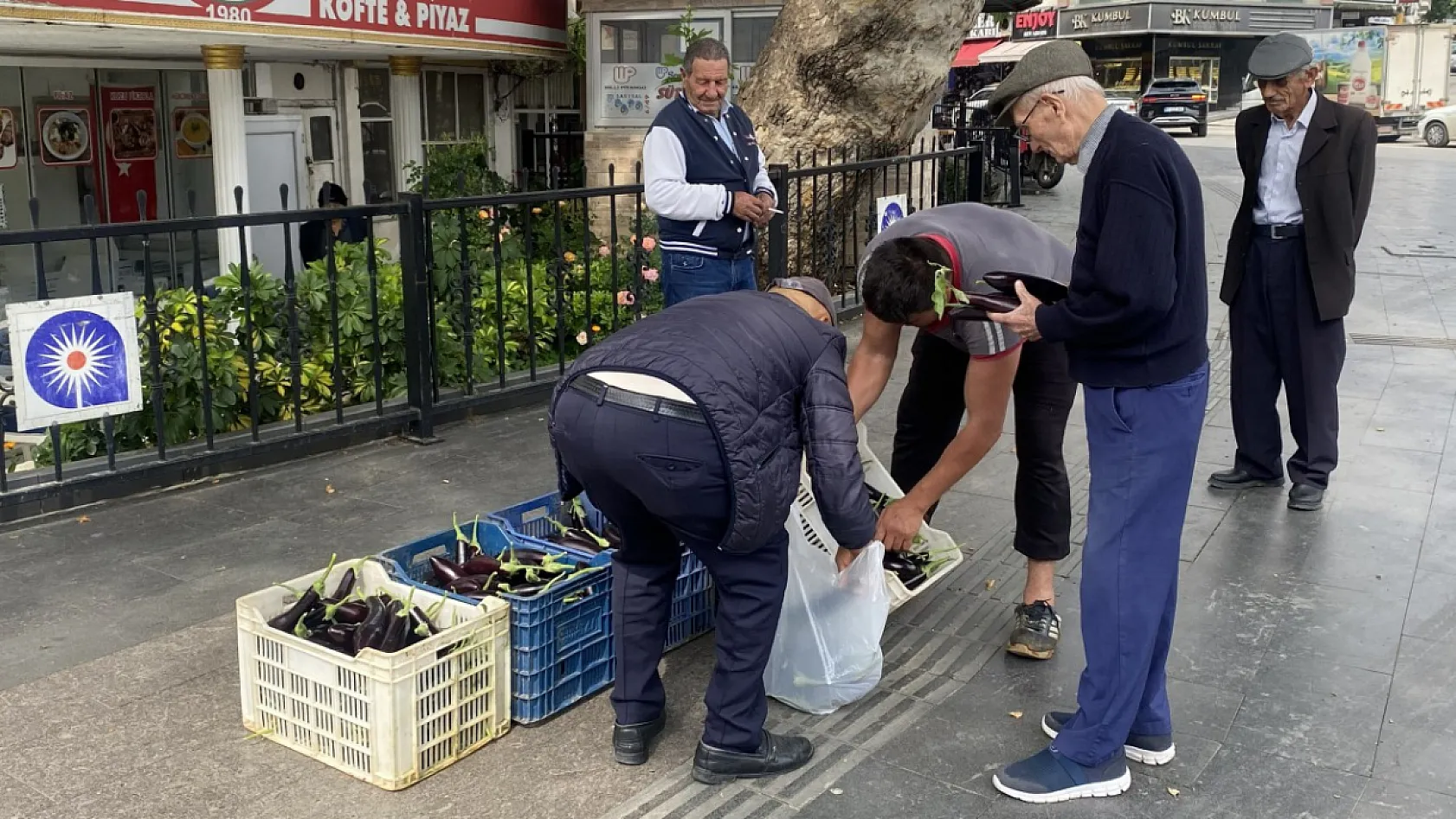 Ürettiği patlıcanlar maliyetini kurtarmayınca serasının kapılarını vatandaşlara açtı