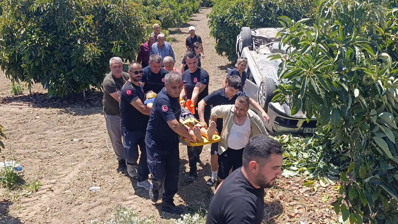 Viraj alamayan otomobil avokado bahçesine uçtu