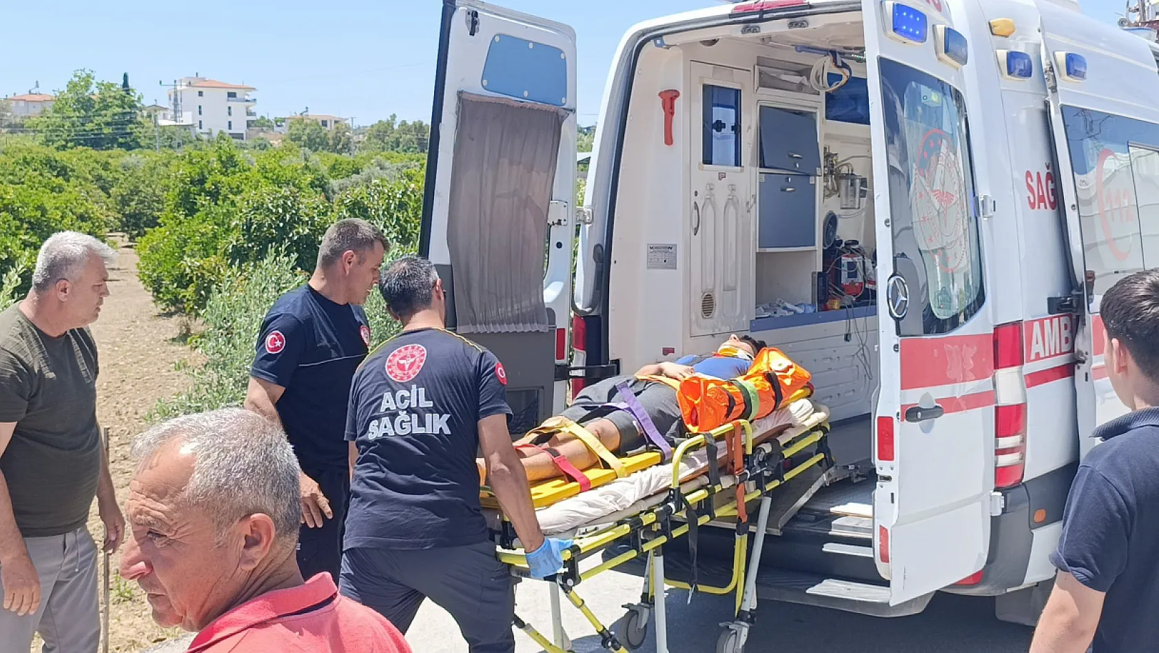 Viraj alamayan otomobil avokado bahçesine uçtu
