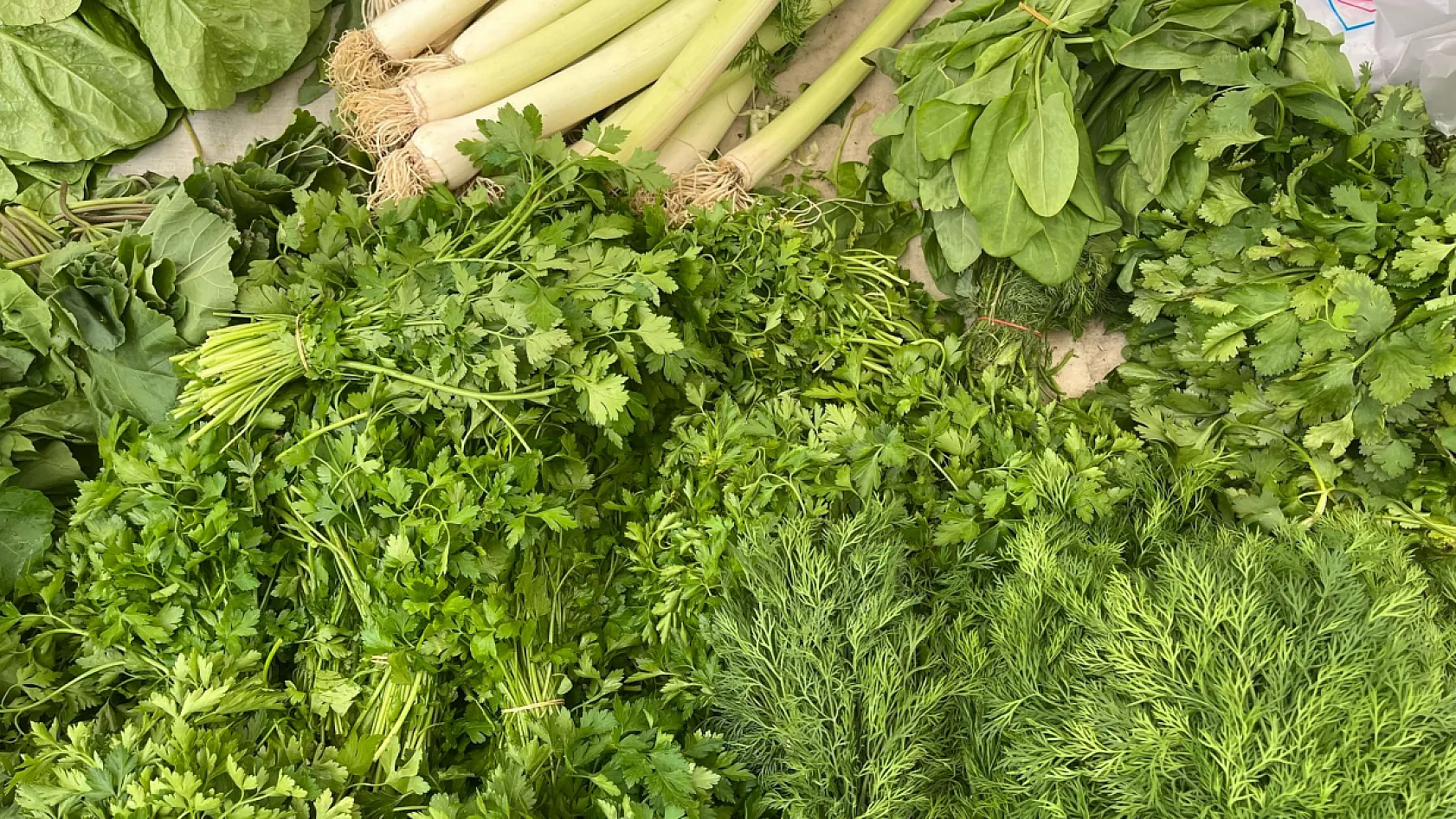 Fethiye Salı Pazarı'nda esnaf kardeşler işlerinden memnun