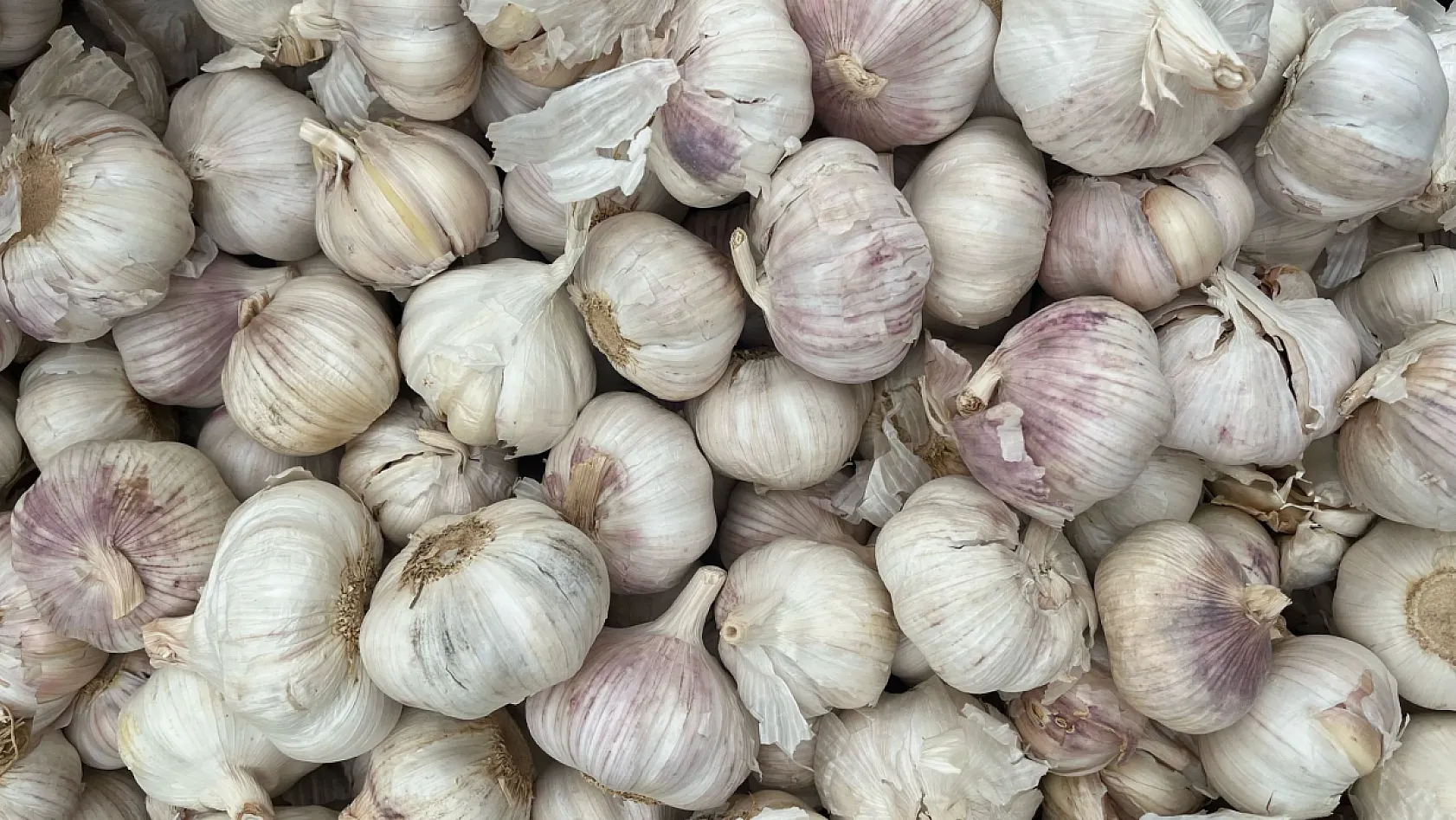 Fethiye Salı Pazarı'nda esnaf kardeşler işlerinden memnun