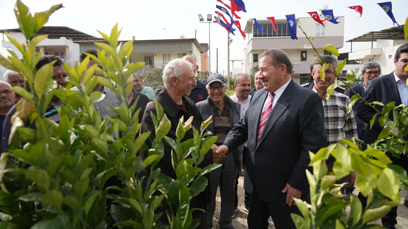 Milas Belediyesi üreticilere fidan desteği sağladı