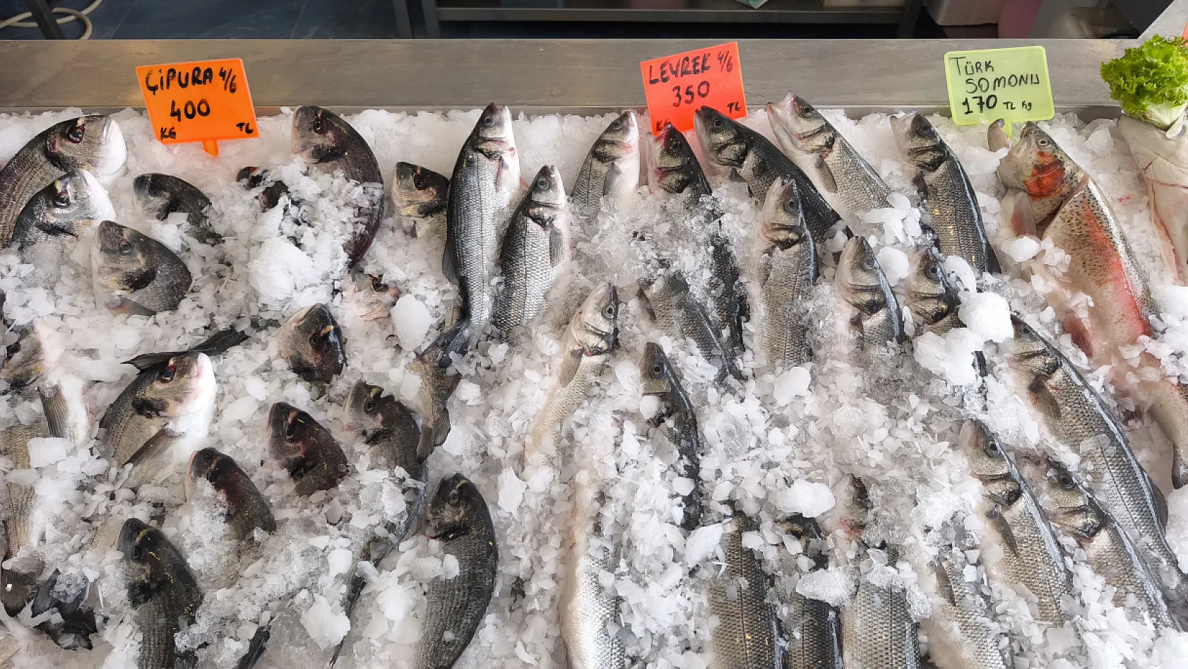 Fethiye'de balığın en taze, en uygun fiyatlı adresi: Doğan Seafood Balık Market