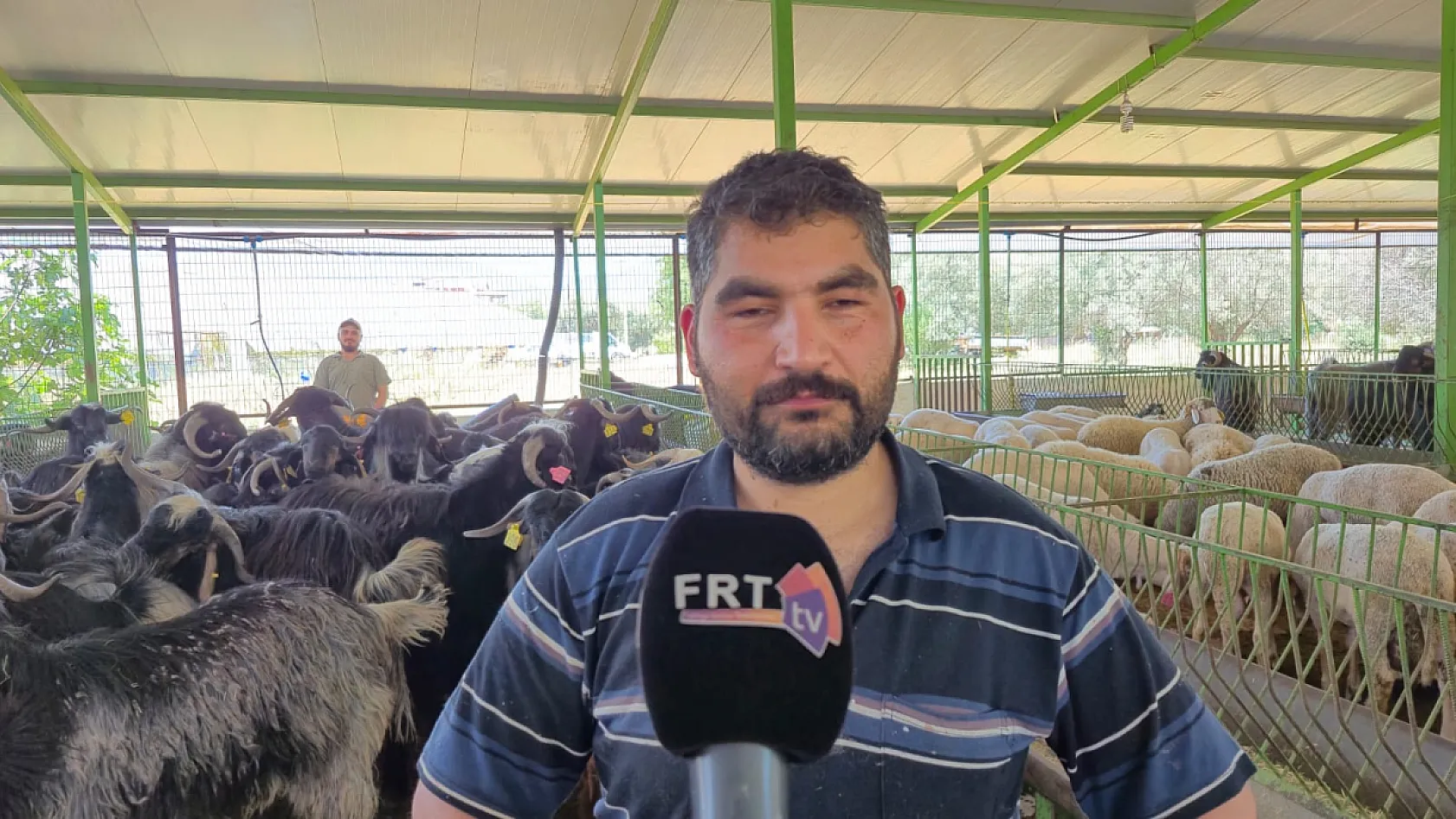 Fethiye'de Kurban Bayramı'na bir gün kala kurbanlık satışları arttı