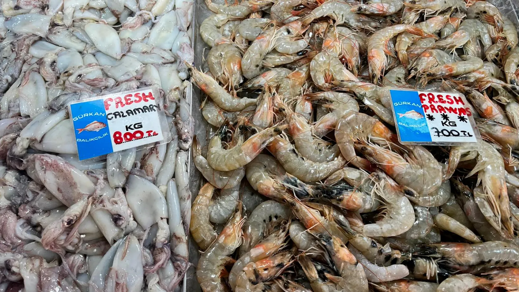 Fethiye Balık Pazarı'nda Güncel Fiyatlar! En Çok Levrek Revaçta