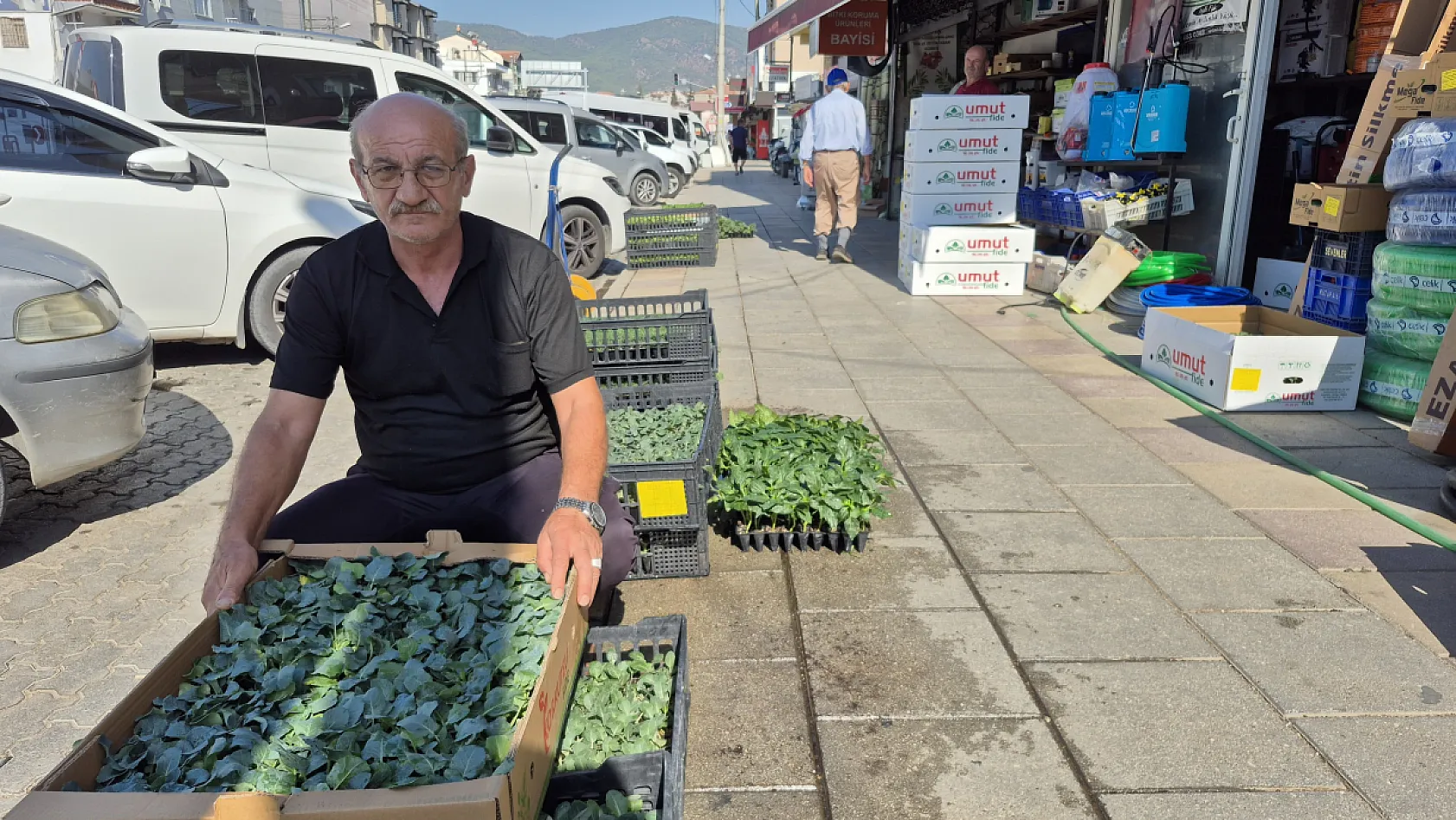 Fethiye'de Tarımcı Kadir Çelik'ten Eylül-Ekim Ayı Bitki Yetiştiriciliği Tavsiyeleri