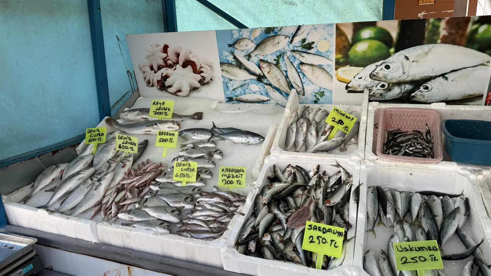 Fethiye'de balık sezonu hareketlendi: Denizden sofraya taze balık