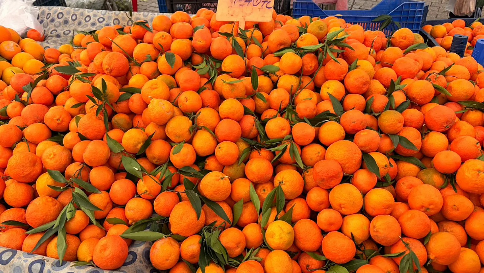 Yağmura rağmen Fethiye Cuma Pazarı hareketli geçti