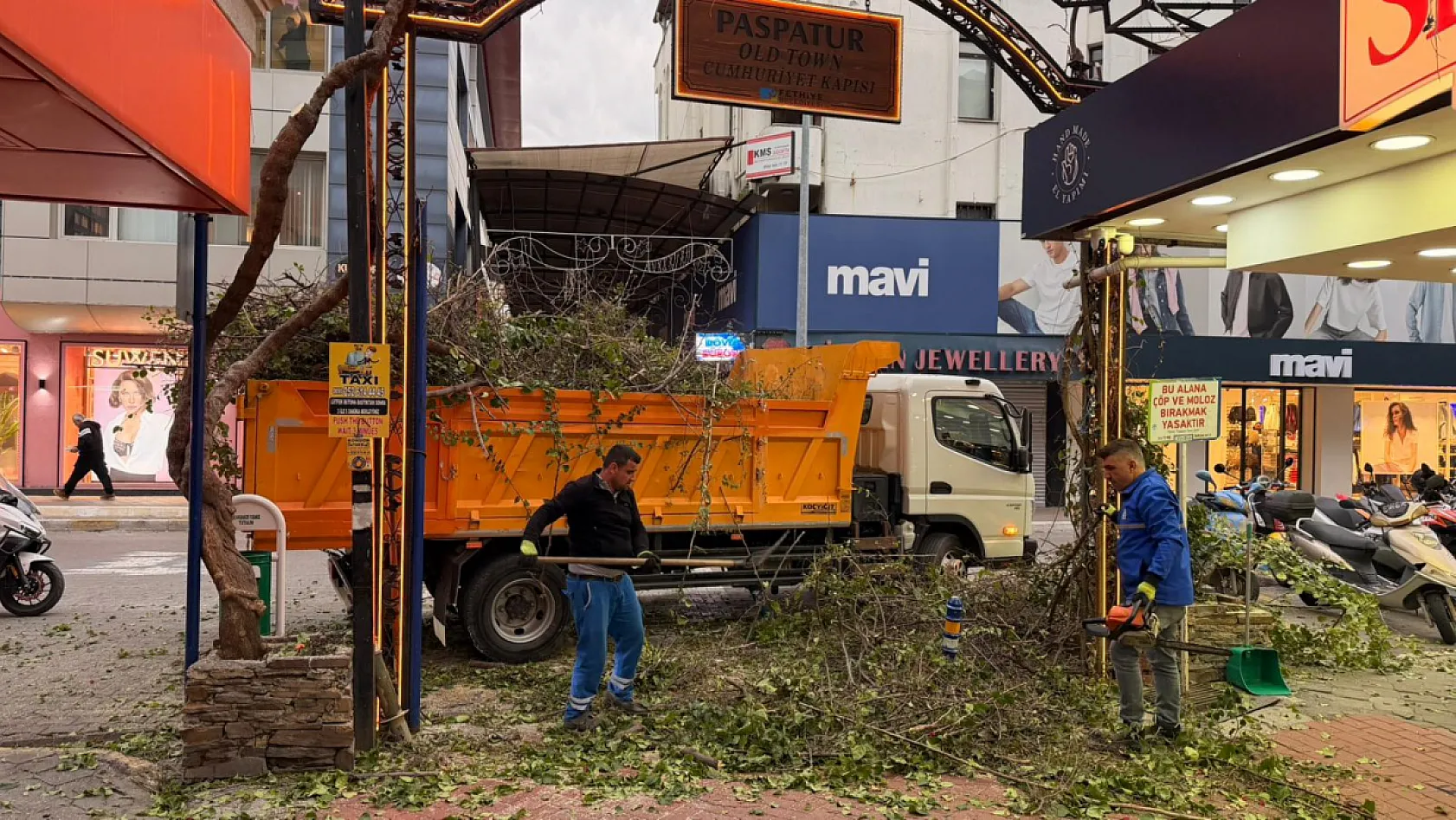 Fethiye Paspatur'da ağaçlarda budama çalışması
