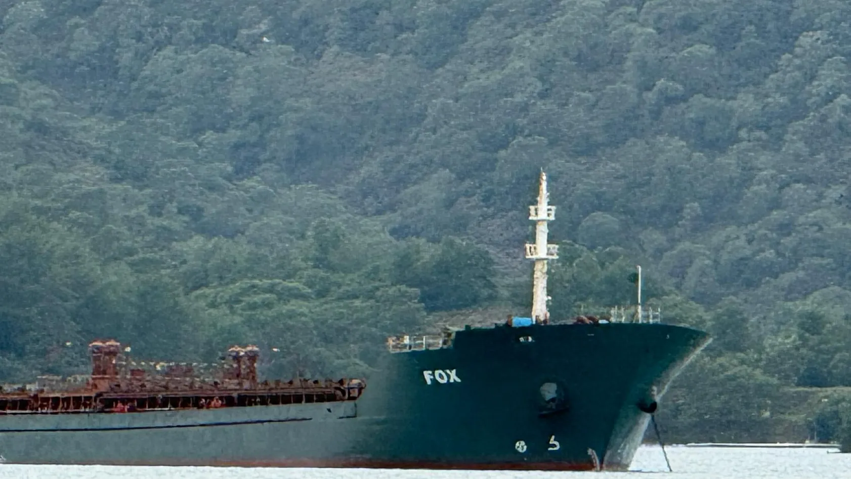 Barbados bayraklı yük gemisi 'Fox' Fethiye Körfezi'ne demirledi