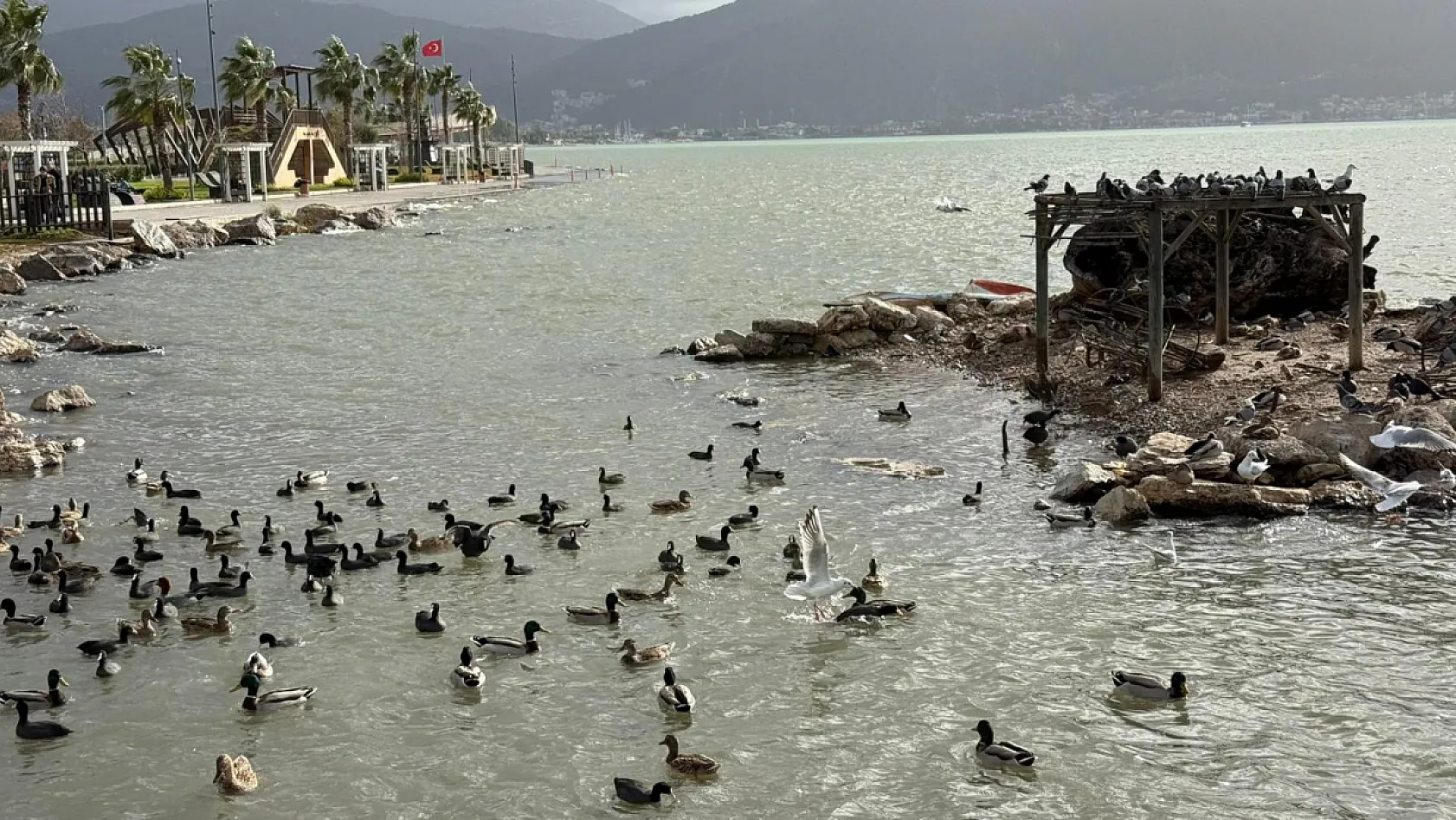 Fethiye'de güneş yüzünü gösterdi, Ördek Adası'nda manzara hayran bıraktı