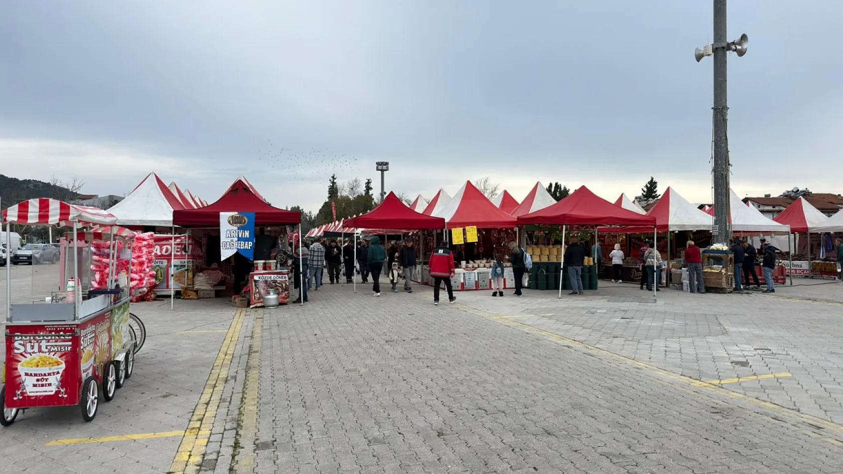 Fethiye'de 1. Hamsi Festivali başladı