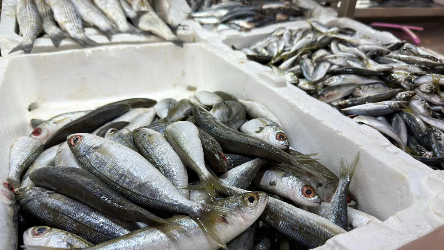 Fethiye Balık Pazarı'nda hamsi bereketi yeniden başladı