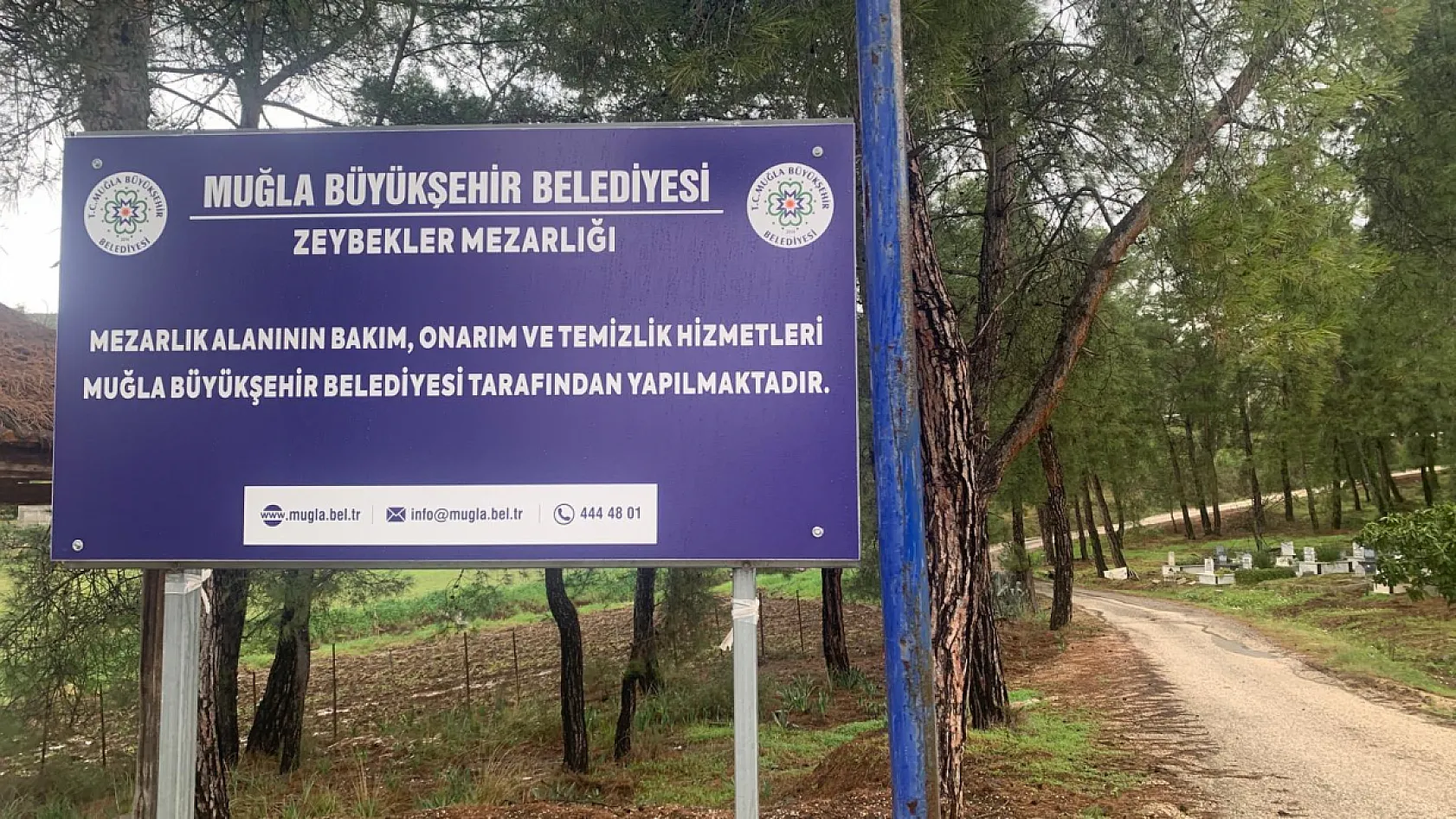 Fethiye'de fırtına Zeybekler Mezarlığı'nda ağaçları devirdi