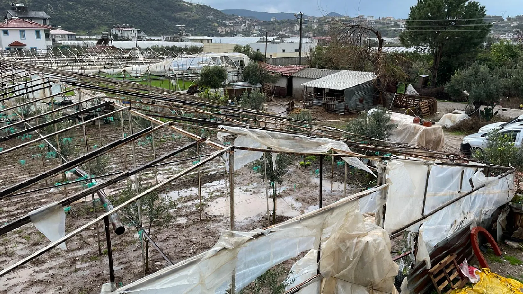 Fethiye'de şiddetli yağmur ve fırtına seralara zarar verdi